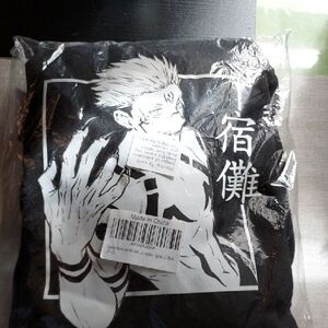 Black Graphic Hoodie with Anime Design